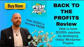 Back to the Profits review 🏎️  Easy $3000 days Wordpress Plugin development 😋  Make money WP Plugins