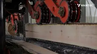 SERRARIA DE SERRA FITA PARA CORTE DE EUCALIPTO | EUCALYPTUS SAWMILL | VANTEC MÁQUINAS