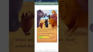 Why the Bat flies only at night
