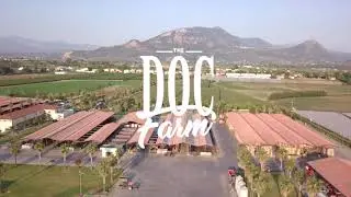 The Doc Farm - AZIENDA AGRICOLA BARLOTTI - INTRO