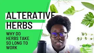 🍃Alterative herbs🍃 Why Do Herbal Medicine Take So long To Work/ Herbs For Health Podcast
