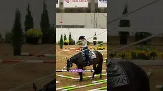 Trail at the All American Quarter Horse Congress #aqha #quarterhorse #westernriding #trailhorse