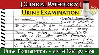 urine examination | urine test | urine examination in hindi | dmlt class in hindi urine #dmlt #bmlt