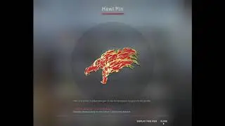 CSGO: SOLD AK47 - GOT STATTRACK KNIFE AND HOWL PIN