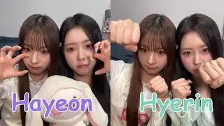 last member ara ara hawaii, senior Hyerin comeback, chicken da!! | tripleS (Hyerin, Hayeon)