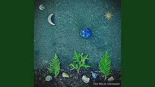 Wishing Stone