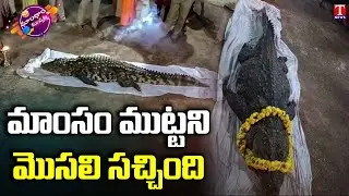 God&rsquo;s own crocodile: Kerala temple accords &lsquo;bhu samadhi&rsquo; to Babiya | Dhoom Dhaam Muchata | T News