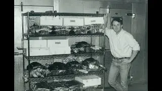 From frustration to liberation, DC Central Kitchen founder Robert Egger on 37 years of the Kitchen