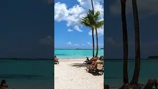 Beautiful day at Punta Cana Beach, Dominican Republic 🌞 #travel #beach #vacation