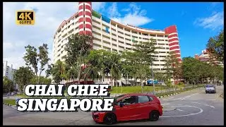 Exploring the Hidden Gems of Singapore: Chai Chee Neighbourhood #singapore #travel #walking