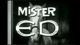 Mr Ed, Ed the Beneficiary Classic TV