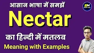Nectar meaning in hindi | Nectar ka matlab kya hota hai | word meaning | Nectar means