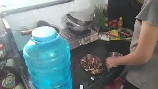 Full House Deep Cleaning 🧼 | Indian Home Cleaning Routine#HouseCleaning