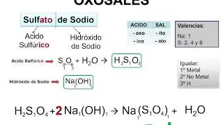 SAL II: OXOSALES Parte 2