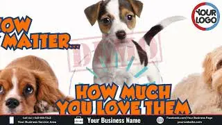 Veterinary Clinic Promotional Video AD | Vet Care Short AD