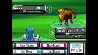 vs Turner (Pok&eacute;mon Vega) - Pokemon Reborn Mod