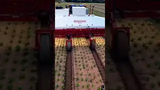 Car ! Farming car ! #shortvideo #cartun