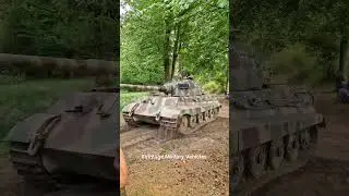 Tank Tiger II - Militracks 2025 #livinghistory