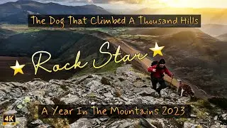 A Year In The Mountains ⭐ROCK STAR ⭐ Billybob The Dog That Climbed A Thousand Hills.