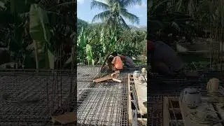 Masih Pemasangan Begisting Persiapan Cor Lantai 2 #cordak