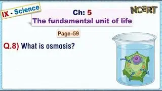Ch:05 - Pg:59 - Q.8) What is osmosis?  |  Ch-5 Fundamental unit of life