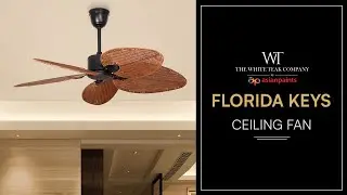 Florida Keys Ceiling Fan | White Teak