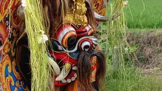 Live 🇮🇩 ARAK-ARAKAN BARONG SINGOROJO PURWO SAKTI