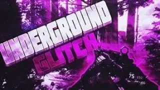 New BO4 Payload glitch 1.07