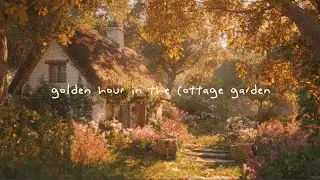a comfortable playlist for reading, studying, writing