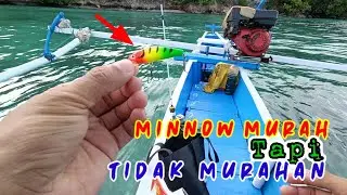 Minnow killer yang murah tapi tidak murahan || @acomancing