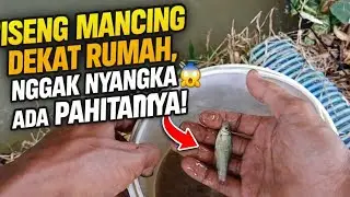 Spot Dekat Rumah Diremehkan, Hasilnya Bikin Kaget 🔥🎣