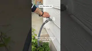 Easy Step By Step Instructions to Watering Your Foundation!