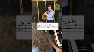 🎶 Radek Babor&aacute;k &ndash; What a Wonderful World | Virtuoso Horn Solo