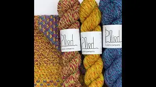 Interview with Ann Weaver, cofounder of Plied Yarns