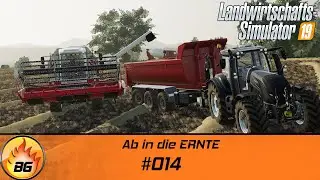LS19 - EBELSBACH #014 | Ab in die ERNTE | FS19 | Let's Play [HD]