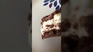 Turkey Hill peanut butter and double chocolate chip icecream cookie sandwich