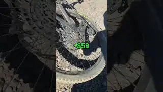 Free money in bike park #earnmoney #mtb
