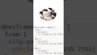 CSS clip path animation