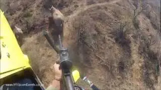 WildconEvents: Rhino Conservation - A Dedication - part 1