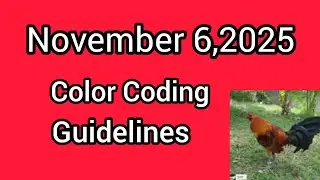 November 6,2025 Color Coding guidelines.