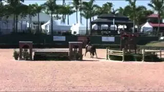 Video of PARKLAND ridden by CATHERINE COWIE from ShowNet!
