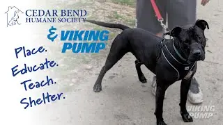 Viking Pump partners with the Cedar Bend Humane Society in serving the animals in our community