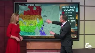 Colorado Leaf Peeping Guide: When and Where to visit in 2023