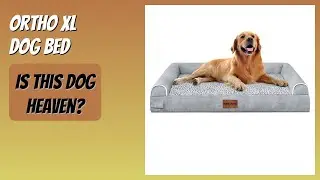 REVIEW (2025): Ortho XL Dog Bed. Features