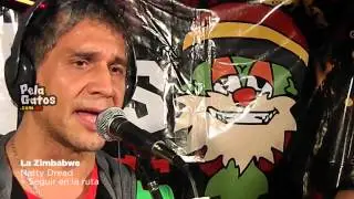 La Zimbabwe - Natty Dread + Seguir en la ruta - Reggae en PelaGatos
