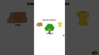 How do Plants help us ?