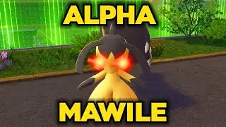 Как поймать АЛЬФА Мавайла в Pokemon Legends: Z-A!
