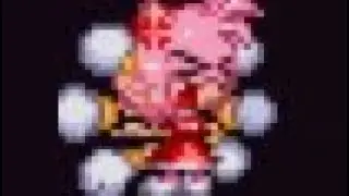 AMY GAMEPLAY  TD REBORN