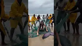 Mermaid Caught in a fishing net beach animals