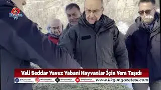 Malatya Valisi Seddar Yavuz Yabani Hayvanlar İçin Yem Taşıdı